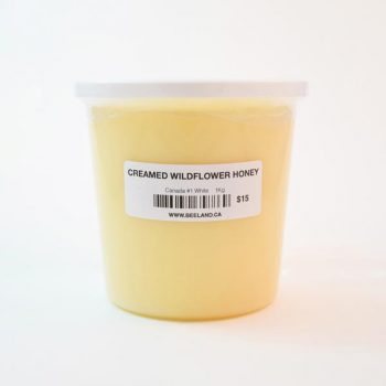 creamed-wildflower-honey-1000